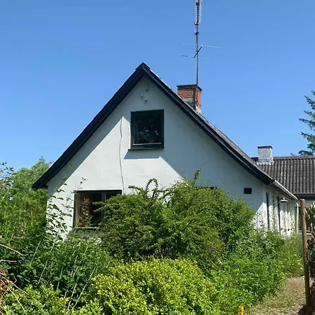 Charming Family Close To And Forest
