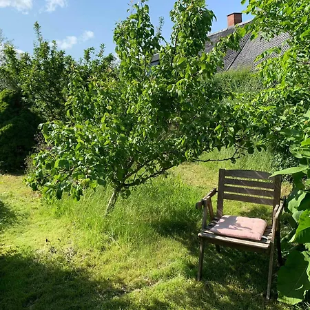Charming Family Close To And Forest * Roskilde