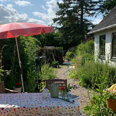 Charming Family Close To And Forest Roskilde